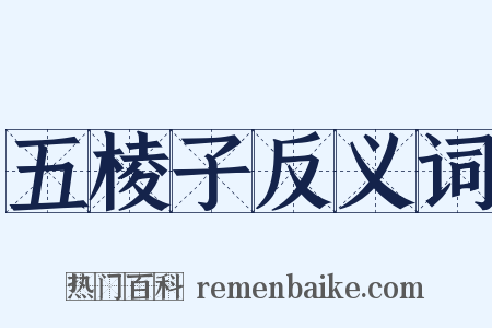 五棱子反义词是什么意思的图片